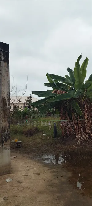 One Full Plot of Dry Land Fence Awoyaya Ibeju Lekki