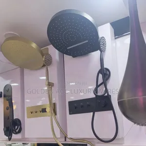 Executive Black Conduit Shower With Round Shower Head