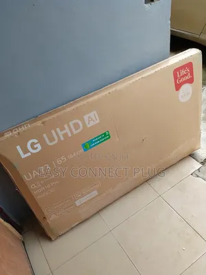 The Smart 65" LG TV (Frameless) + Netflix.