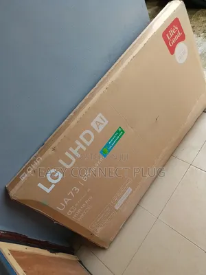 The Smart 65" LG TV (Frameless) + Netflix.