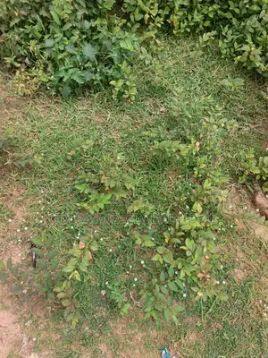Size:8,700sqm. Hotel Land for Sale in Lifecamp Abuja.