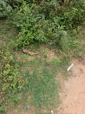3,700sqm. Filling Station Land for Sale in Gwagwalada, Abuja