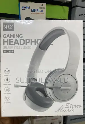 MZ Wireless Headphones With Mic