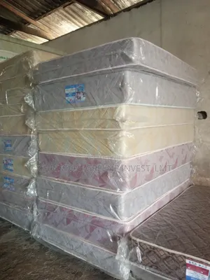 4.5x6x10 Inches Royal Gallant Plux