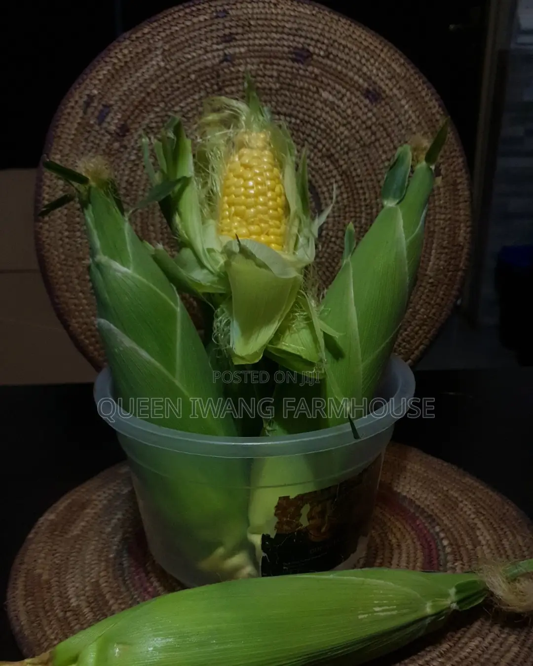 Fresh Sweet Corn