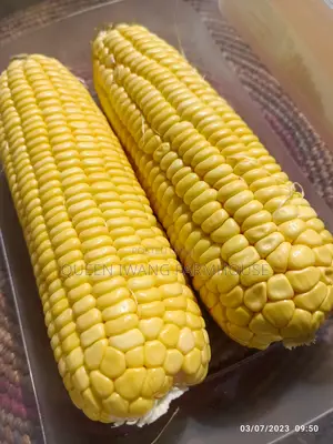 Fresh Sweet Corn