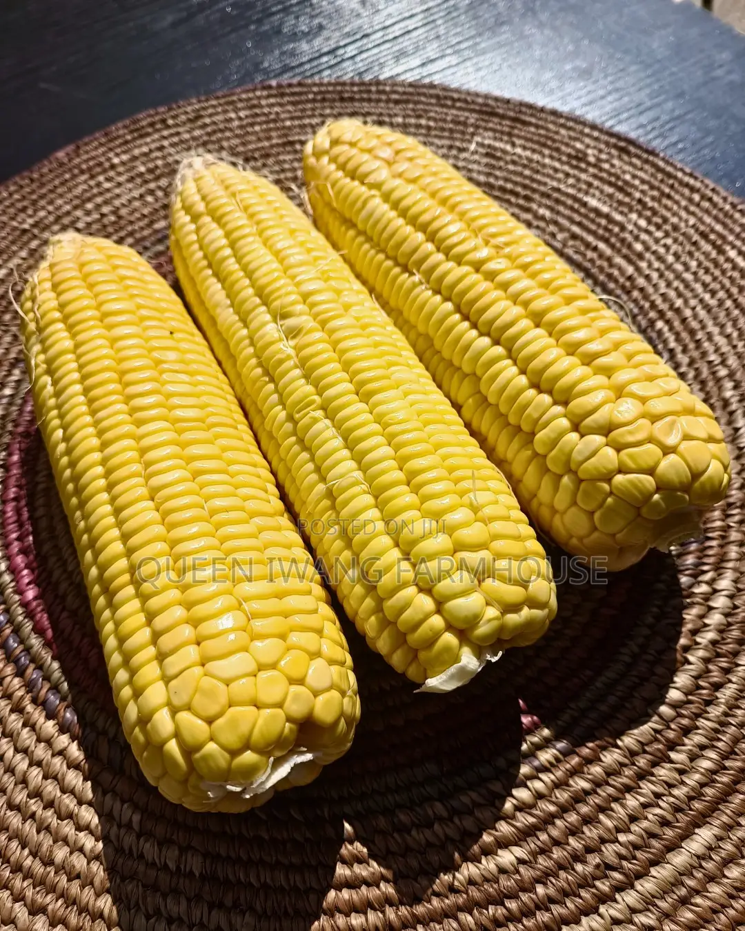 Fresh Sweet Corn
