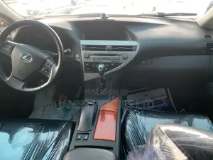 Lexus RX 2010 Gray