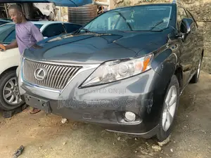 Lexus RX 2010 Gray