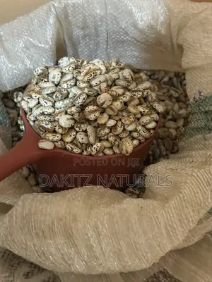 Castor Seed 100kg Bag