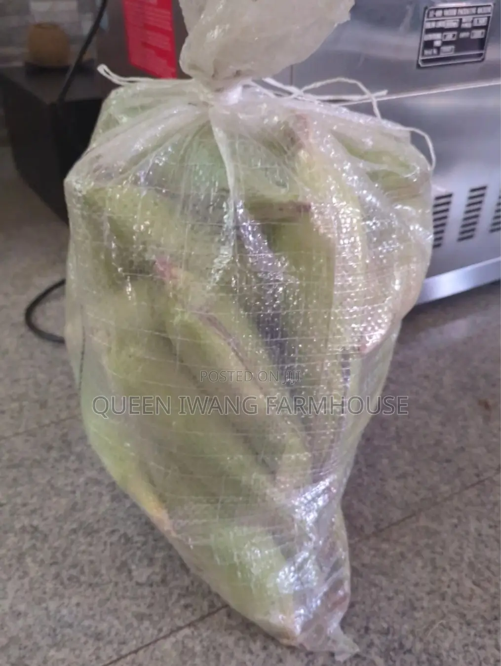 Fresh Sweet Corn