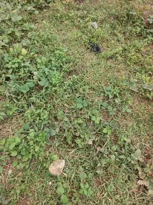 1668sqm. Residential Land for Sale in Kaura District. Abuja - Nigeria