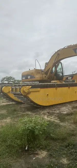 Swamp Buggy 320C L