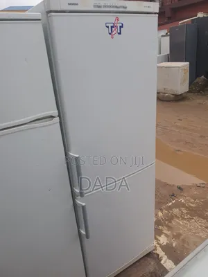 Fridge and Freezer