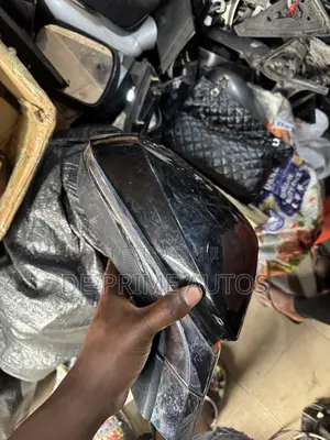 Lexus RX350 Side Mirror