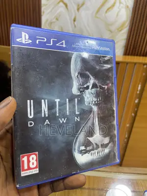 Until Dawn (100% Functional)
