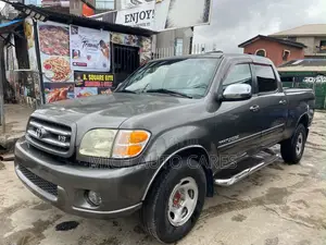 Toyota Tundra 2004 Gray