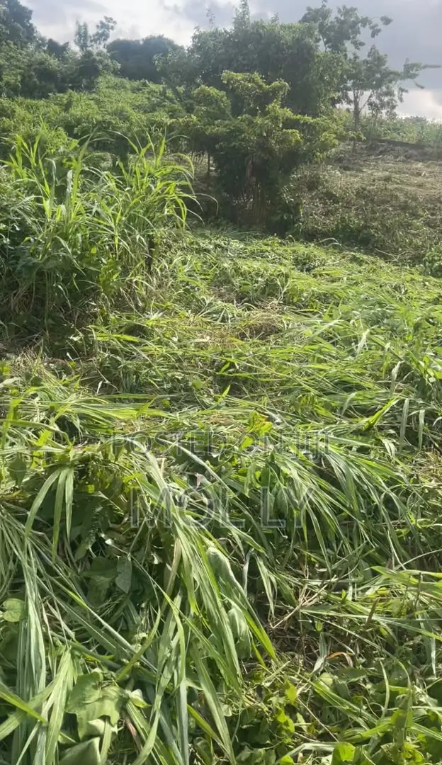1 Plot of Land