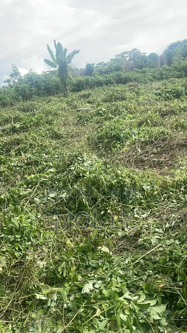 1 Plot of Land
