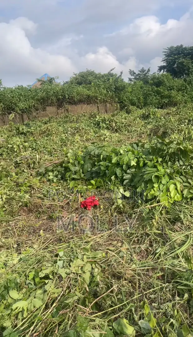 1 Plot of Land