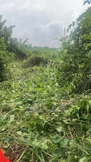 1 Plot of Land