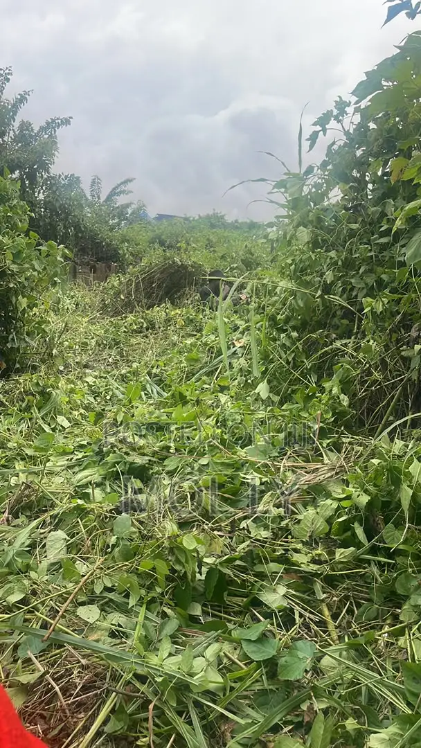 1 Plot of Land