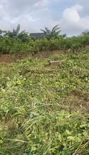 1 Plot of Land