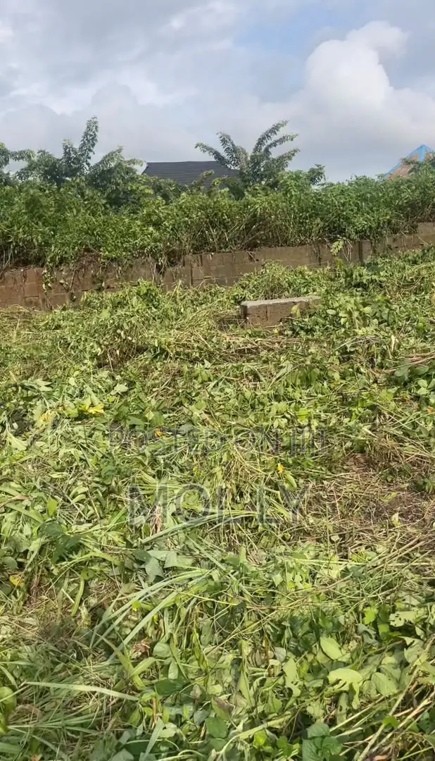 1 Plot of Land