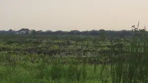 Standard CofO Land in Arepo Not Far From Berger
