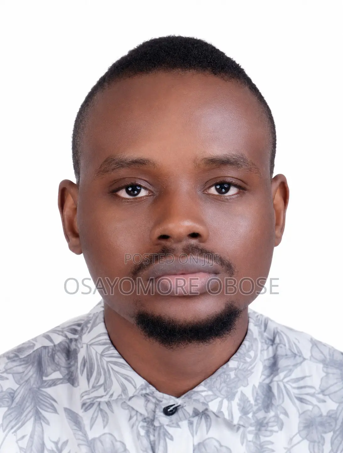 Graphic Designer