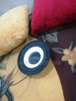 Naked Woofer Speaker