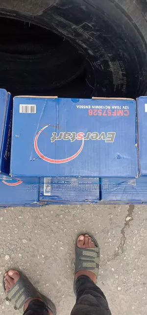 Ever Start Battery 75ahs Original Car Batteries