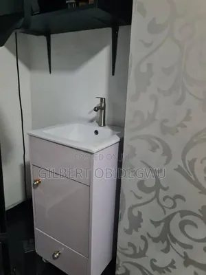 Washing Sink