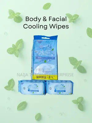 Cooling Minty Wet Wipes for Face Body