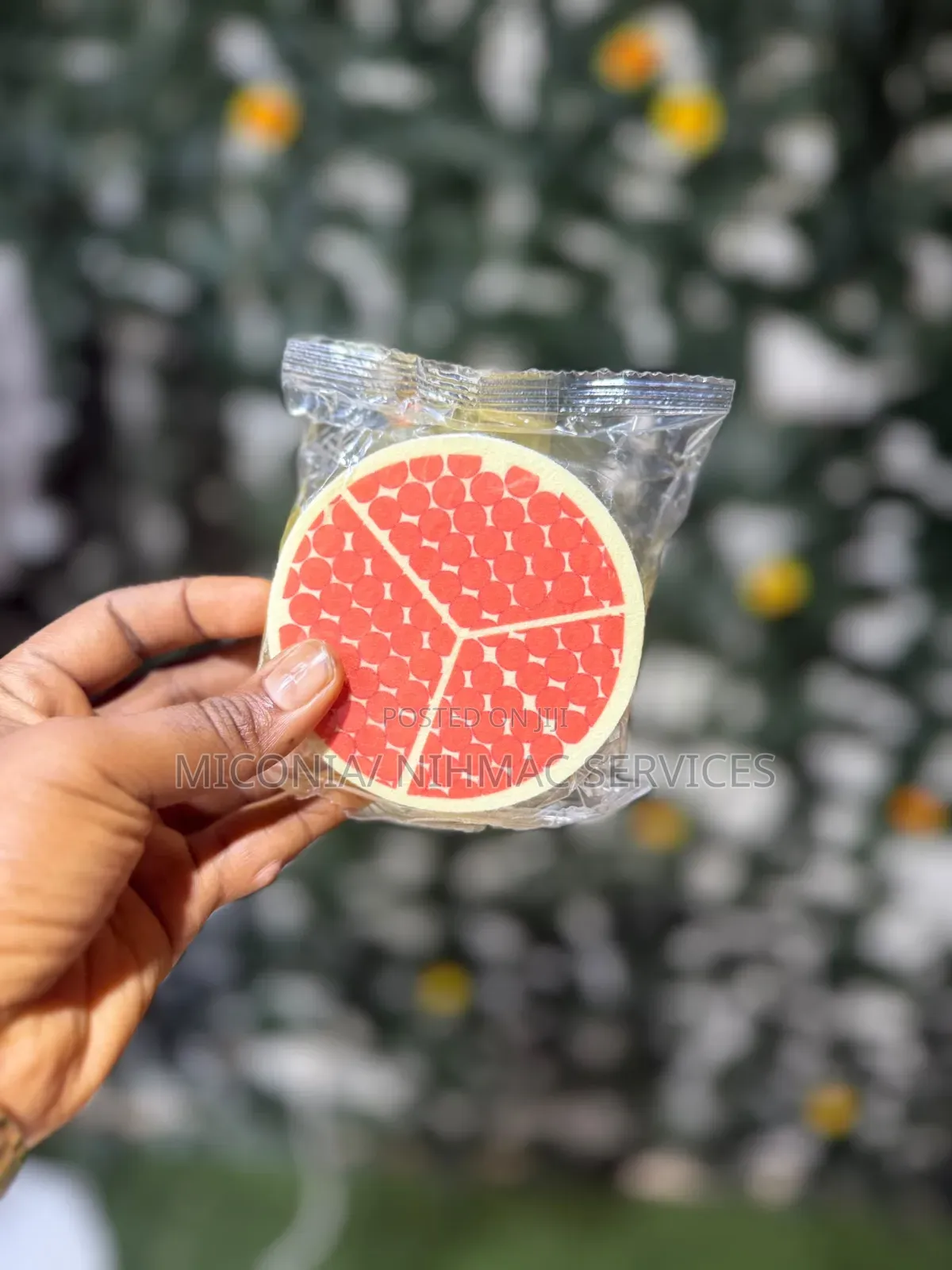 Fruity Dish Sponge
