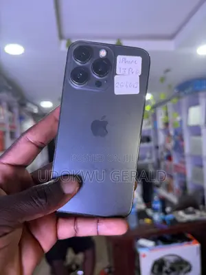 Apple iPhone 13 Pro 256 GB Gray