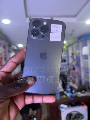 Apple iPhone 13 Pro 256 GB Gray