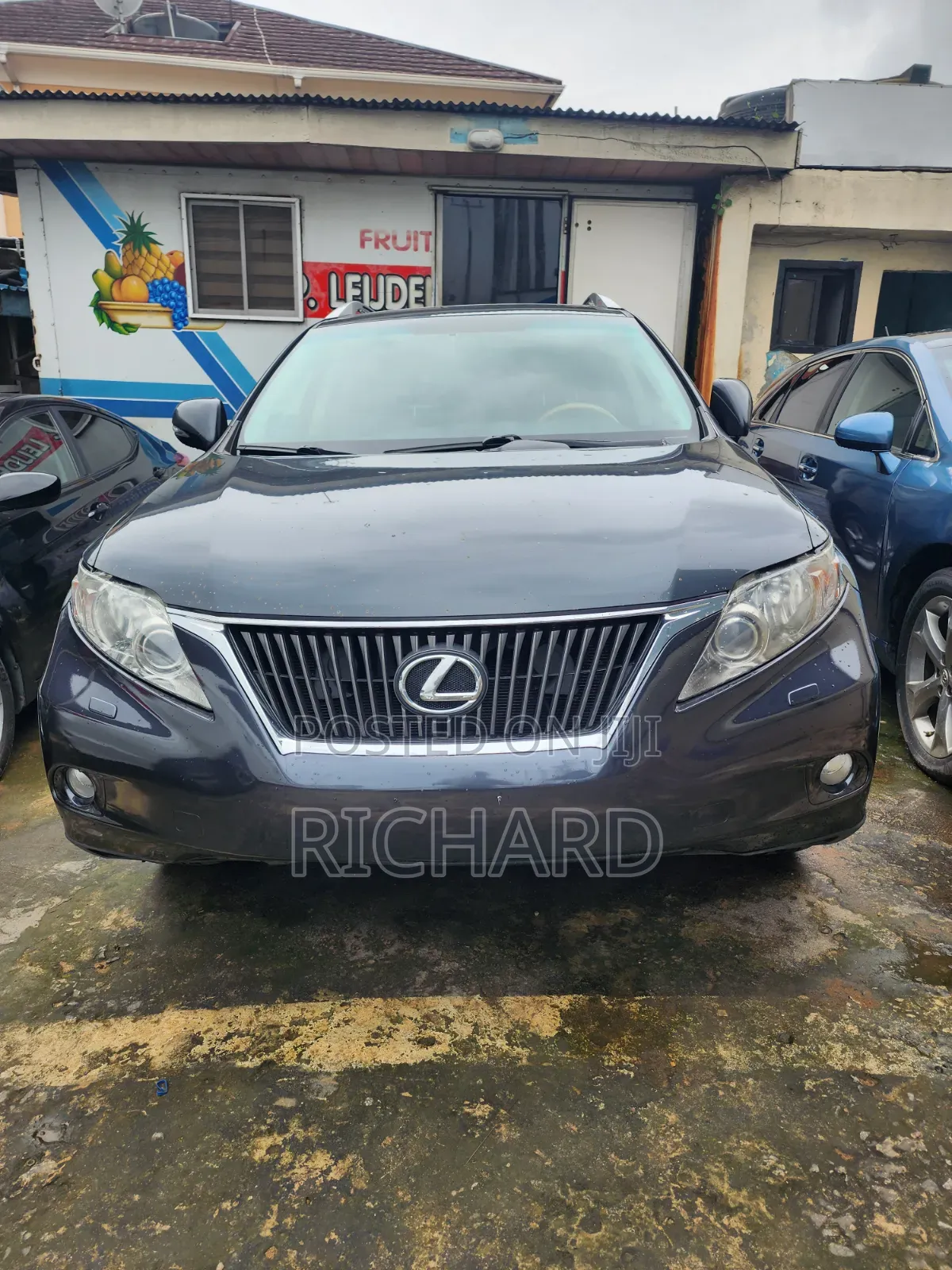 Lexus RX 350 2010 Gray