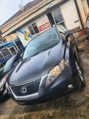 Lexus RX 350 2010 Gray