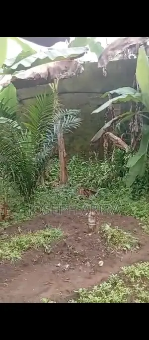 Landed Property