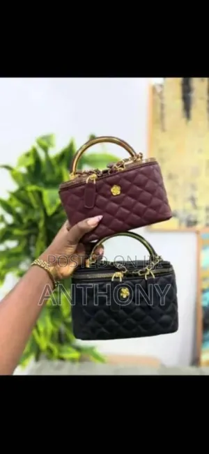 Female Fancy Hand Bag