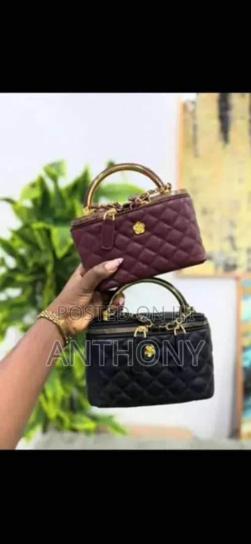 Female Fancy Hand Bag