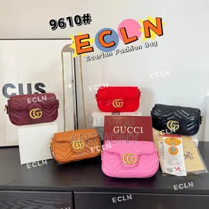 Female Fancy Hand Bag