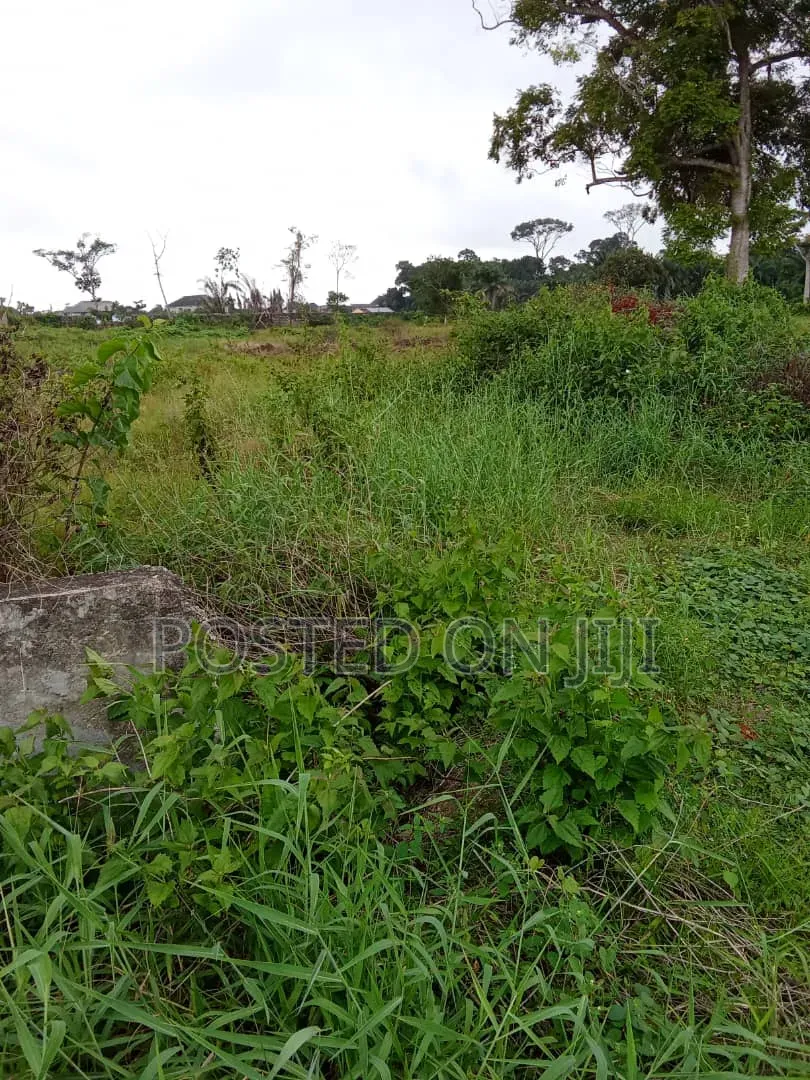 Survey Plan