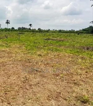 C of O Plots and Acres of Farmland in Ijagun, Behind Tasued, Ijebu-Ode