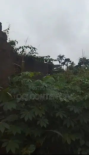 One and the Quarter Plot of Land at Naze Owerri Imo State