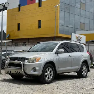 Toyota RAV4 2009 Silver