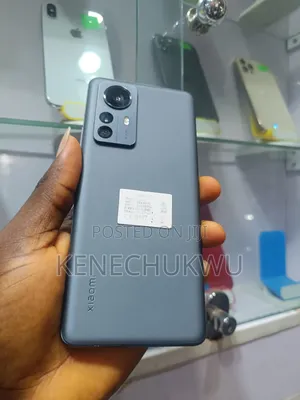 New Xiaomi 12 Pro 256 GB Gray