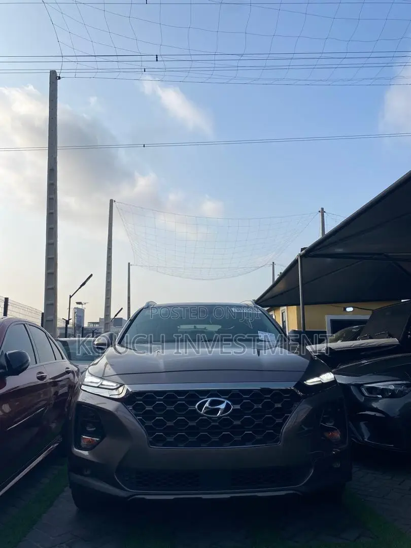 Hyundai Santa Fe 2020 Brown