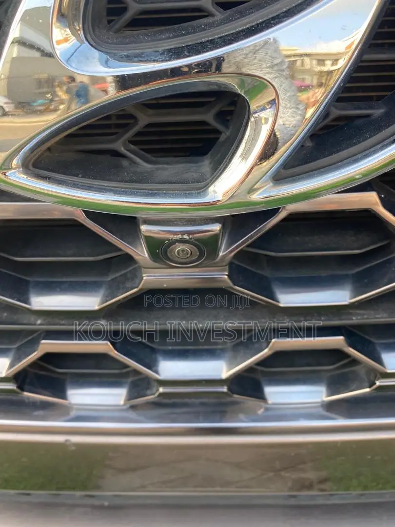 Hyundai Santa Fe 2020 Brown